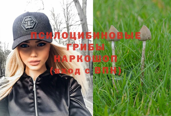 СК Алзамай