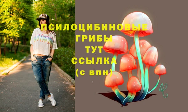 spice Алексеевка